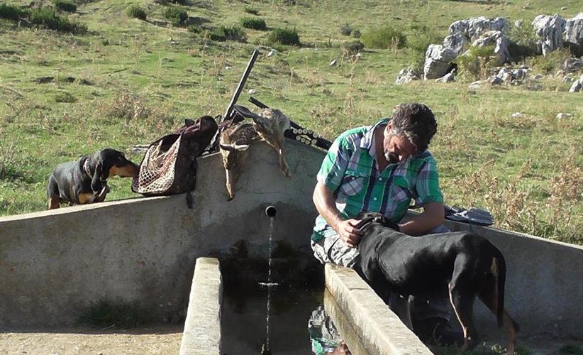 Προσεγγίζοντας το κυνήγι του λαγού.