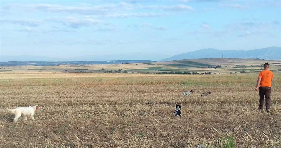 η Πανελλαδική Φιλοζωική και Περιβαλλοντική Ομοσπονδία χαρακτηρίζει το σχέδιο νόμου σοκαριστικό.