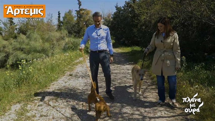 Ο Κυριάκος Μητσοτάκης δηλώνει κατά της στείρωσης των δεσποζόμενων ζώων! Ακούει κανείς;