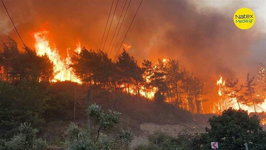 Ποιος φταίει για τις δασικές πυρκαγιές; Τι συμβαίνει σε Ελλάδα, Τουρκία, Ιταλία; Τι λένε οι ειδικοί;