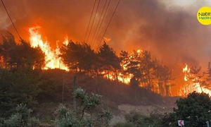 Ποιος φταίει για τις δασικές πυρκαγιές; Τι συμβαίνει σε Ελλάδα, Τουρκία, Ιταλία; Τι λένε οι ειδικοί;