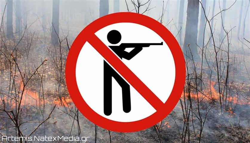 Τι γίνεται με τις περιοχές που έχουν πληγεί από τις δασικές πυρκαγιές;