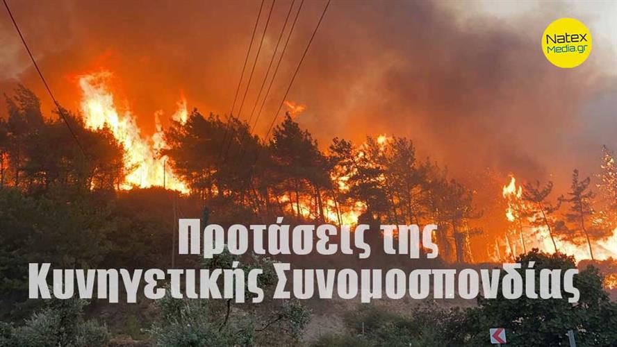 Κυνηγετική Συνομοσπονδία. Προτάσεις ευθύνης για την επόμενη ημέρα μετά τις φωτιές.