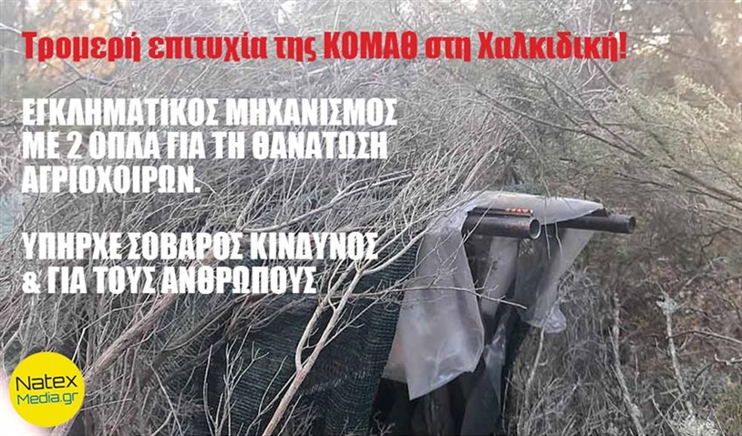 Εξαιρετική επιτυχία κλιμακίου Θηροφυλακής της ΚΟΜΑΘ στη Χαλκιδική!